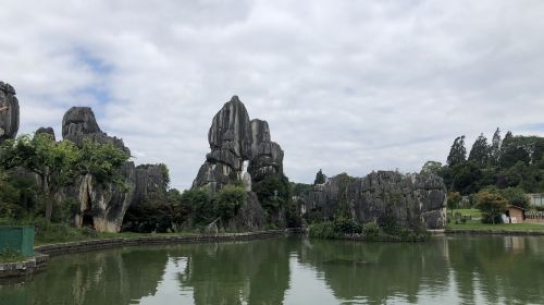 昆明九乡+石林风景区一日游【8人小团-臻选纯玩-可选私家团】 产品特色 全程不进购物店，游玩时间充足，一天轻松游玩石林九乡两大