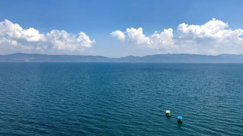 抚仙湖一日游【纯玩+不推自费+二环内可接+中餐铜锅鱼】