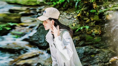 西双版纳基诺山雨林徒步纯玩一日游【独树成林/雨林瀑布/傣迪】